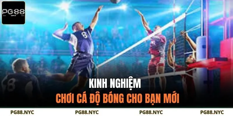 Kinh nghiệm chơi cá độ bóng cho bạn mới
